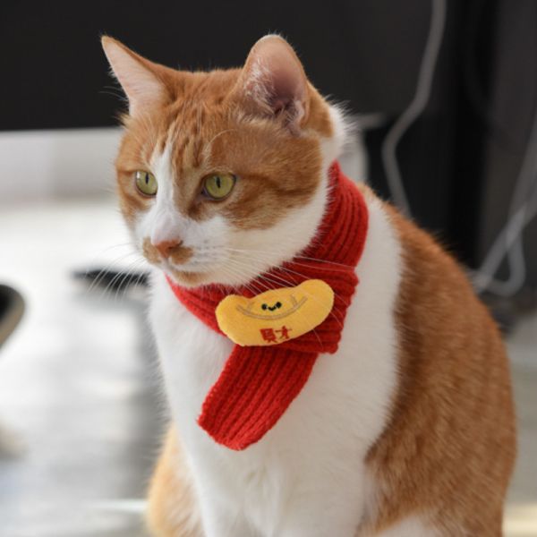 【萌寵新年限定】寵物新年針織圍巾 