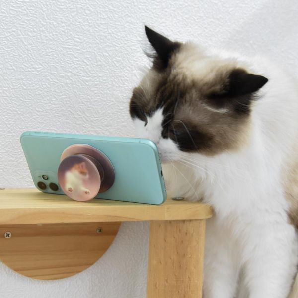 【質感貓系小物】霧面猫咪Magsafe磁吸手機支架 