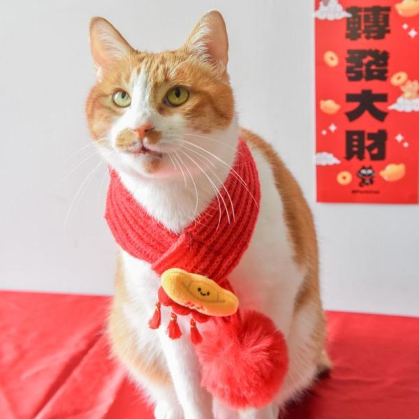 【主子的過年儀式感】寵物新年針織圍巾 