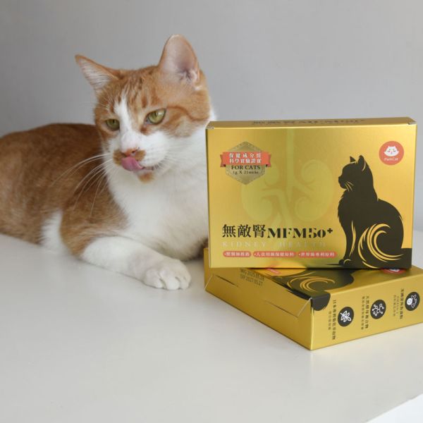 【全能型腎臟預防保健】ParkCat 無敵腎MFM50+ 市面唯一集結6大科學益腎原料 保健成分經腎貓實驗證實-貓樂園 貓咪, 腎臟, 貓咪腎臟保健, 腎貓, 腎病, 保健品, 貓咪保健品