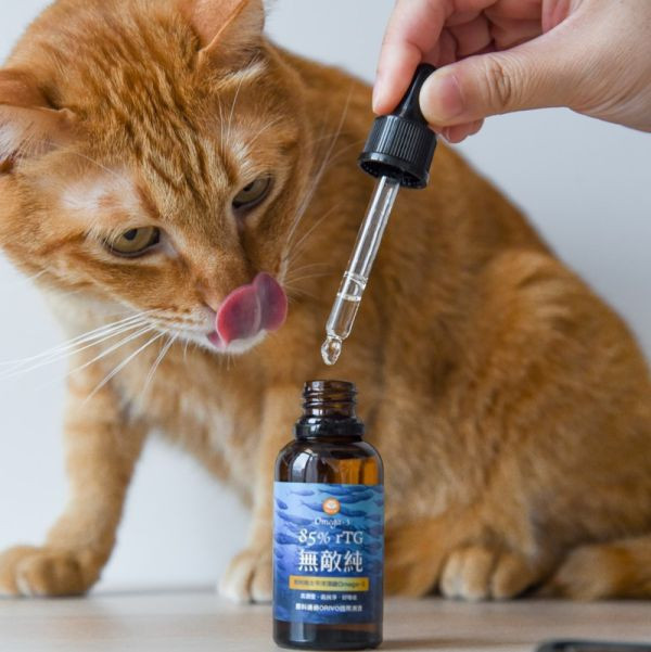 【活動贈品】ParkCat 85%無敵純 高濃度魚油 (兩罐) 寵物魚油,ParkCat保健品,無敵純,魚油,皮膚保建,心血管,眼睛保健,貓咪,狗狗,rTG,85%高濃度,毛孩魚油,小棕瓶,貓魚油,犬貓適用