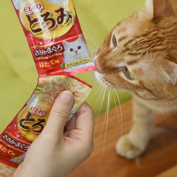 【貓的愛的那一串】CIAO四連串湯包 