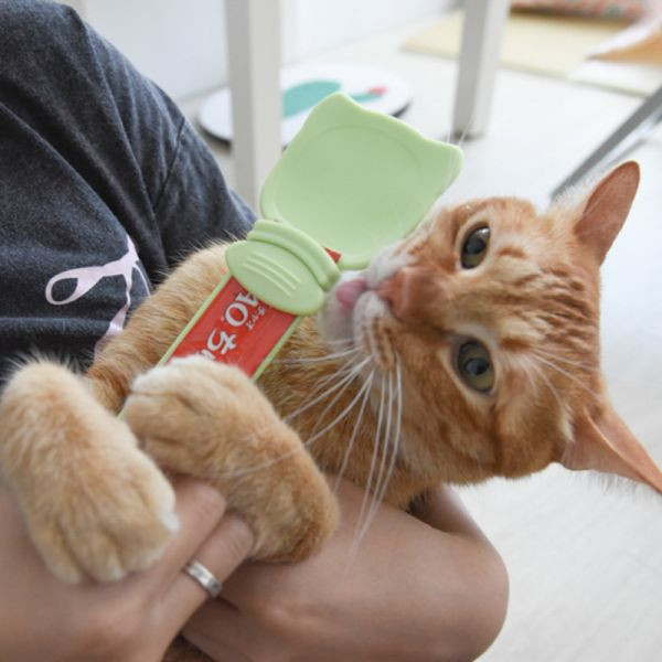 【餵泥不沾手】貓肉泥餵食器 