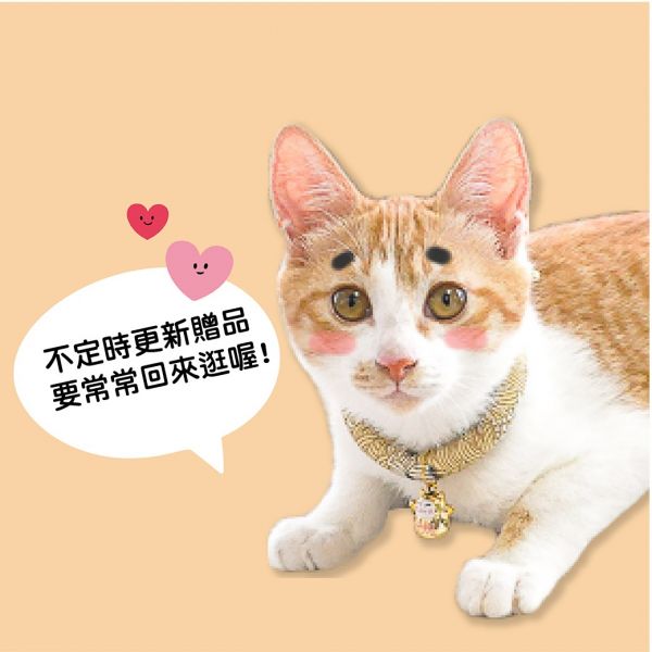 * 不想拿贈品請選我 * 