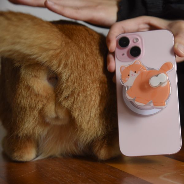 【屁屁來支援】翹屁股橘貓磁吸手機支架 