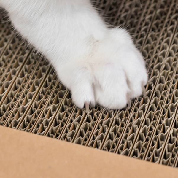 【活動贈品】ParkCat隨喵抓 機能性貓抓板 不易掉屑 符合SGS安全檢測 貓抓板,少掉屑,不易掉屑