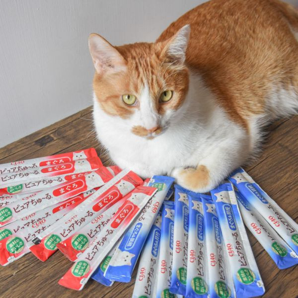 活動贈品 PURE純萃啾嚕20入*2包* 