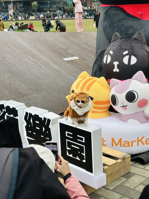 攤位募集中【2025貓樂園冬日和風華山創意市集】 