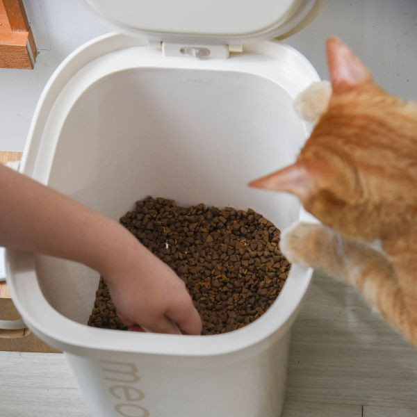 【活動贈品】meoof真空脆脆桶 飼料桶 