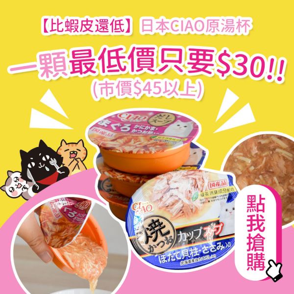 【無法抗拒的小點心】日本CIAO原湯杯 