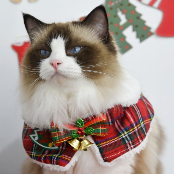 【主子聖誕限定】主子聖誕小披風 *全館滿額隨機送一套* 數量有限送完為止 