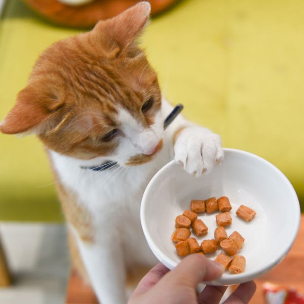 【活動贈品】CIAO夾心肉泥捲1包15入 