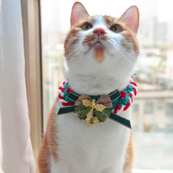 【注意！聖誕貓出沒】手工編織項圈 共105條
52組
會多一條