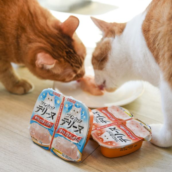 【貓貓分享杯】日本CIAO雙湯杯 