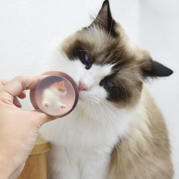 【質感貓系小物】霧面猫咪Magsafe磁吸手機支架 