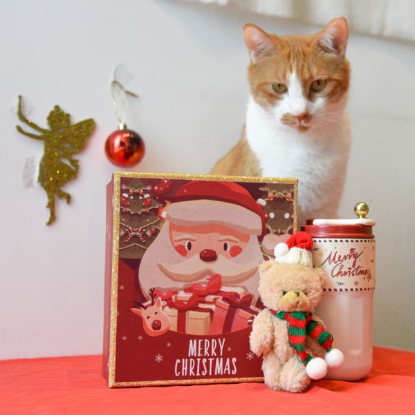 聖誕限定*【送給特別的你】聖誕智能保溫杯禮盒 