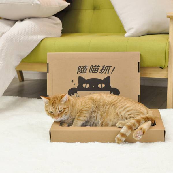 【活動贈品】ParkCat隨喵抓 機能性貓抓板 不易掉屑 符合SGS安全檢測 貓抓板,少掉屑,不易掉屑