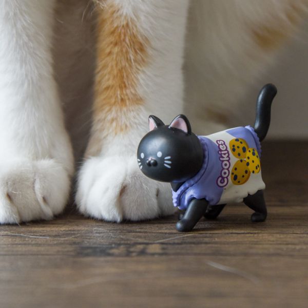 【蹓躂蹓躂】散步餅乾貓咪公仔盲盒 *滿額隨機送1盒* 