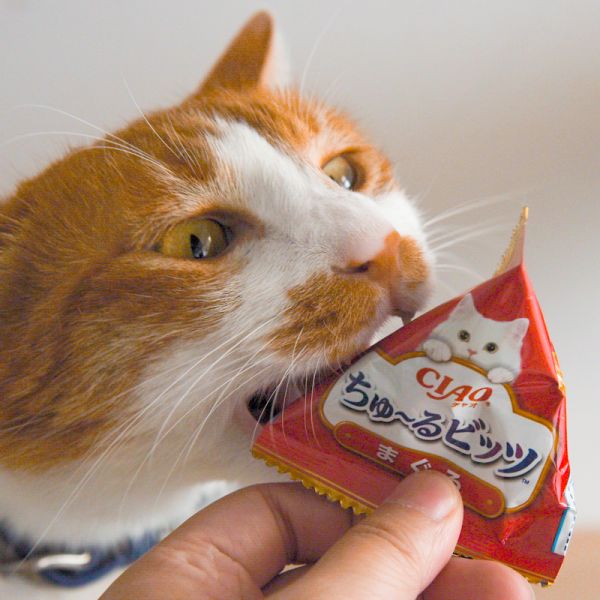 【活動贈品】CIAO夾心肉泥捲1包15入 