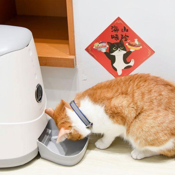 【ParkCat獨家原創設計】春聯貼紙 共11+2款  *全館滿額即贈一組* 