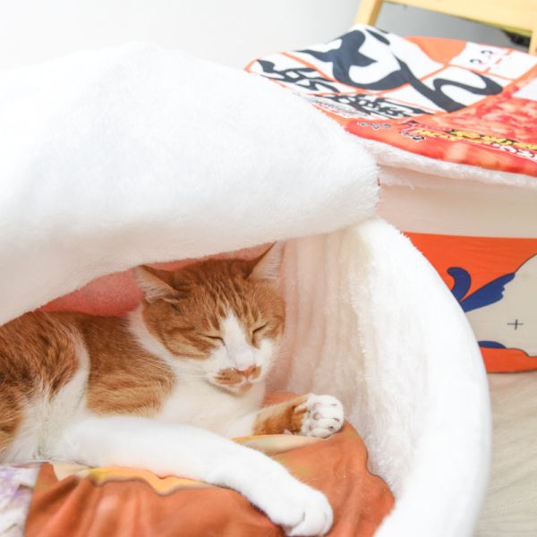 【來碗喵泡麵】日式泡麵貓窩 