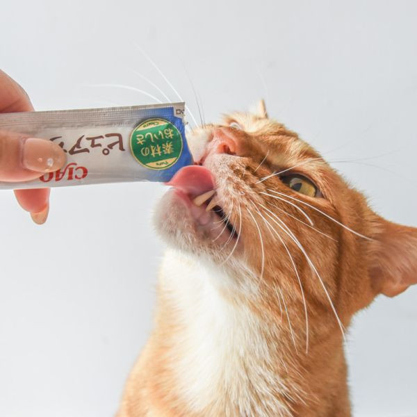 活動贈品 PURE純萃啾嚕20入*2包* 