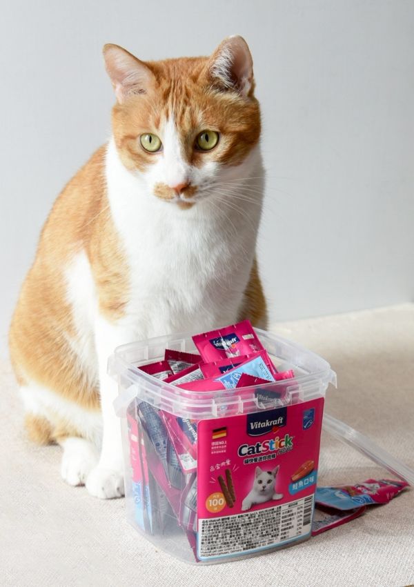 3折出清【短效最低價出清】Vita衛塔卡夫貓快餐mini 鮭魚口味4g*50片 