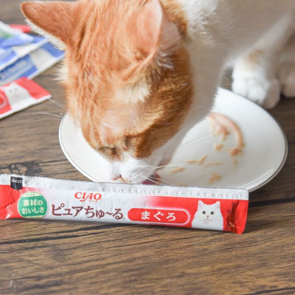 活動贈品 PURE純萃啾嚕20入*2包* 