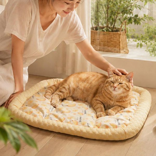【一躺就降溫】水果系列冰絲涼感寵物墊 