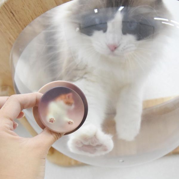 【質感貓系小物】霧面猫咪Magsafe磁吸手機支架 