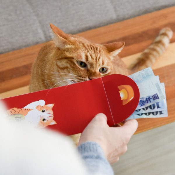 限量【蛇麼都有錢】貓樂園獨家設計蛇年紅包袋 一組6入 