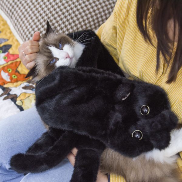 【就要黏著你】小黑貓毛絨圍巾圍脖 