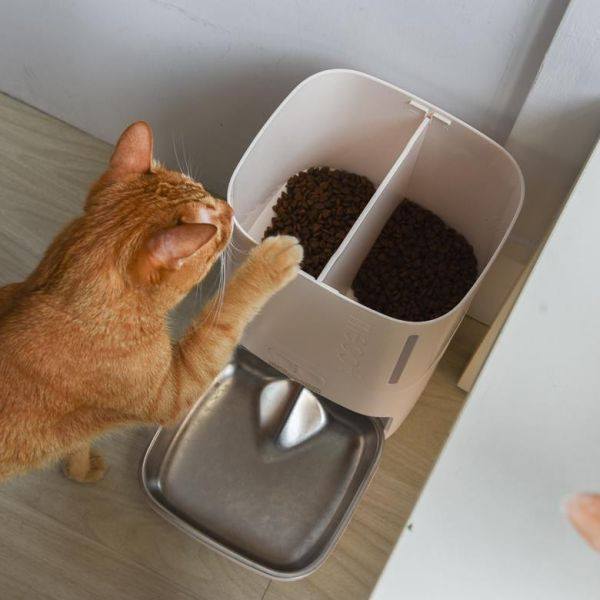 【最佳餵食小管家】meoof慕斯智能餵食器 視訊版 自動餵食機 飼料機 