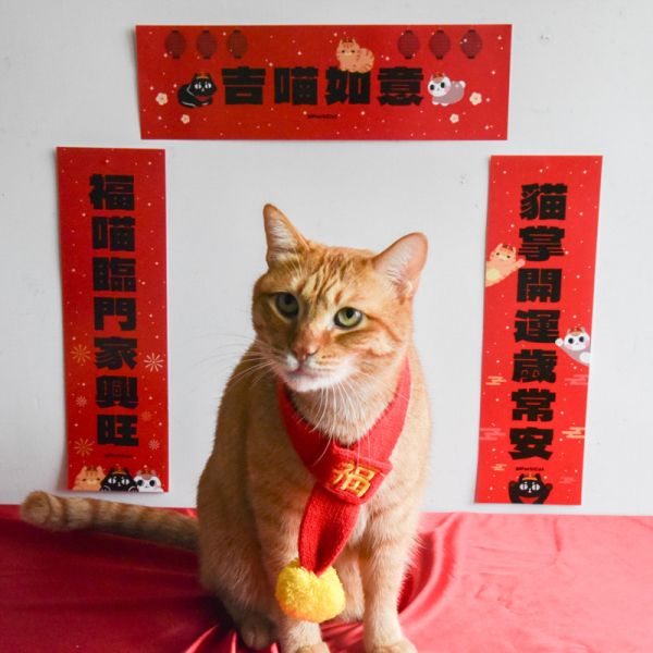 【馬年旺財】貓樂園原創IP馬年春聯 14入組 