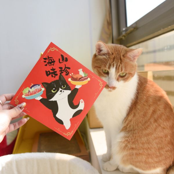 【ParkCat獨家原創設計】春聯貼紙 共11+2款 