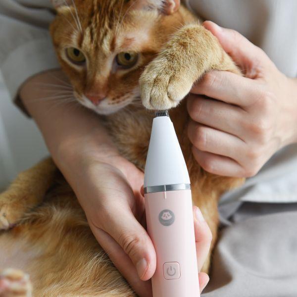 【限時三天快閃優惠】ParkCat 安心剃▪美掌機【貓貓也要剃毛毛】全面升級!四合一剃毛器-獨家製作 (犬貓通用) 剃毛器,寵物剃毛器,剃腳掌毛,貓毛,狗毛,電剪,散熱,雜毛