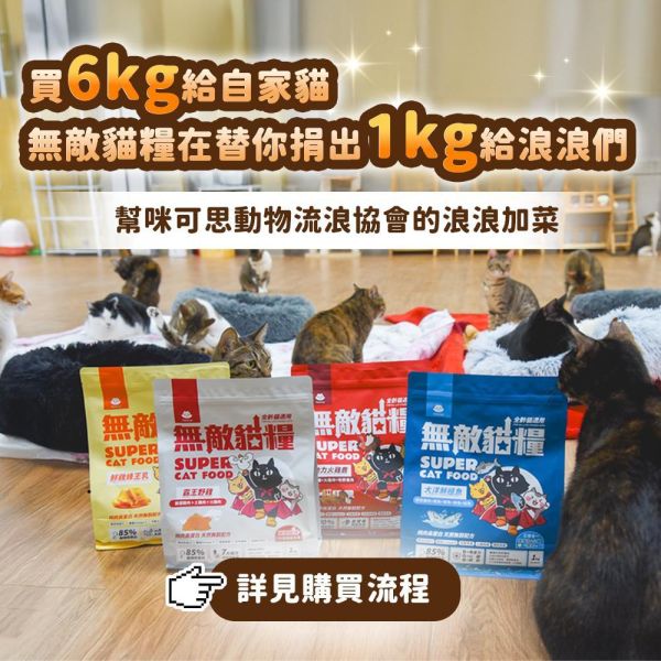 《愛心活動》6kg無敵貓糧超值組合包【內有購買連結】你買糧我捐糧 無敵貓糧,公益活動