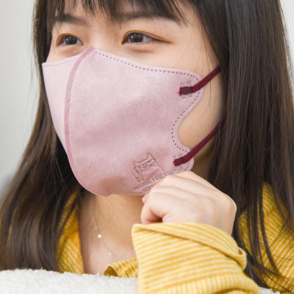 【可愛不擋防護力】kusuguru貓咪壓花3D口罩5入組 