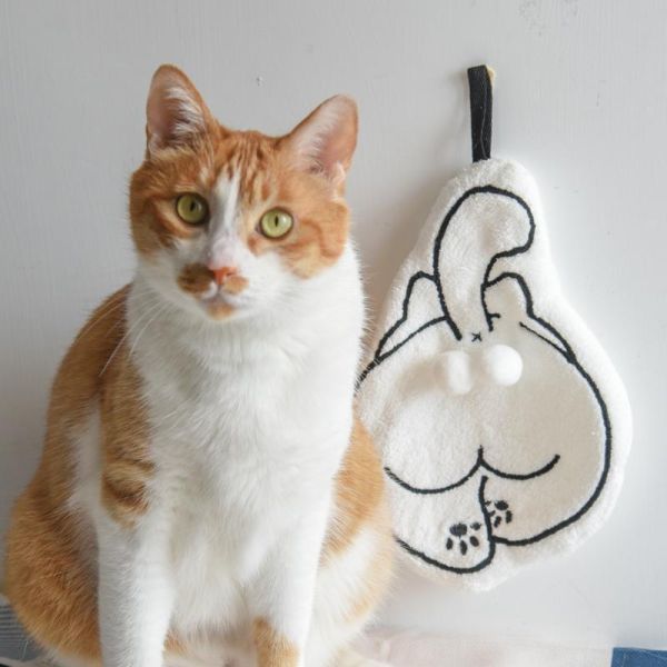 【搞怪又療癒】貓蛋蛋擦手巾 