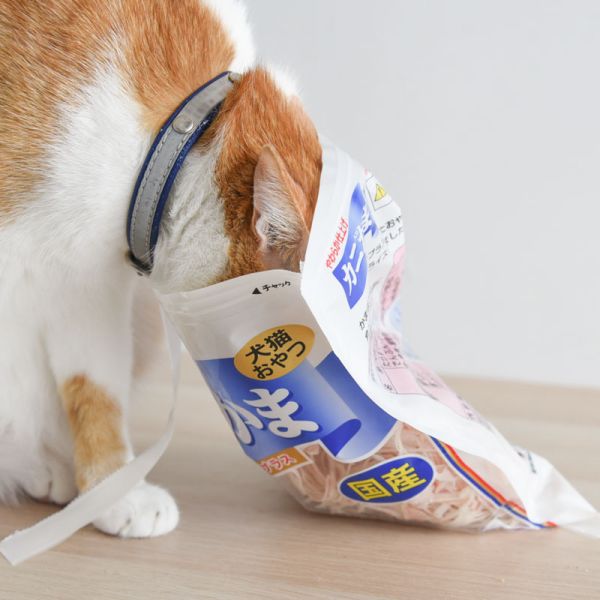 【就愛吃螃蟹】藤澤蟹肉絲 