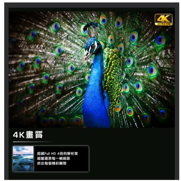 【聊聊再折】禾聯 HERAN 55吋4K聯網液晶電視 HD-55MF1 禾聯, HERAN 55吋4K聯網液晶電視 ,HD-55MF1