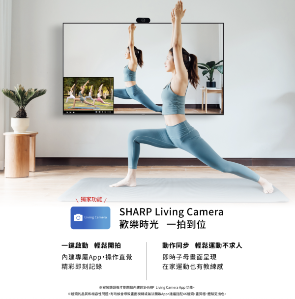 【聊聊再折】夏普 SHARP 65吋4K連網智慧顯示器 4T-C65HJ6000X SHARP 65吋4K連網智慧顯示器 4T-C65HJ6000X