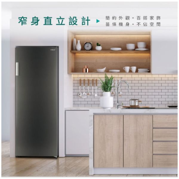 【下單9折+聊聊再折】禾聯 HERAN 206L變頻直立式冷凍櫃 HFZ-B2061FV 請輸入9折碼A100 禾聯 HERAN 206L變頻直立式冷凍櫃 HFZ-B2061FV