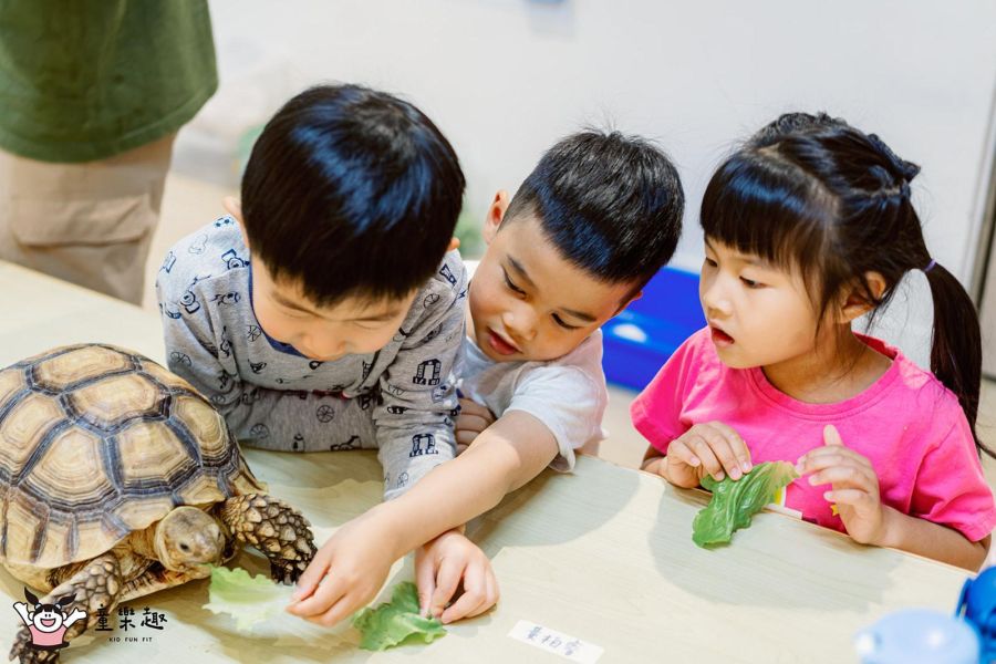 2026聖誕海龜營-中山基地-幼兒組 海龜營,台北營隊,新北營隊,兒童營隊,運動冬令營,運動夏令營,天母石牌北投,新莊五股,萬華中正板橋