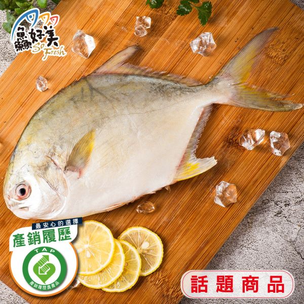 產銷履歷金鯧400g-500g/尾 產銷履歷,金鯧,過年,圍爐,簡單料理,全台宅配到府,健康營養美味吃得安心,最優質的生鮮產品,認證安心好食材,料理食譜