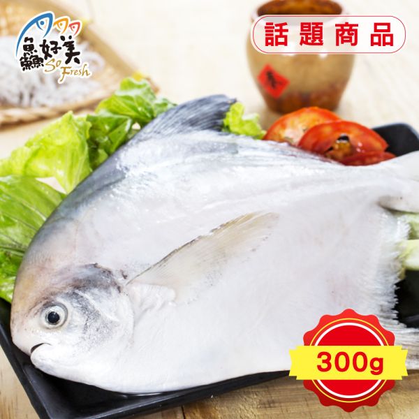 鮮凍白鯧300g/尾 白鯧,鮮魚,營養,魚油,DHA,蛋白質,簡單料理,全台宅配到府,健康營養美味吃得安心,最優質的生鮮產品,認證安心好食材,料理食譜