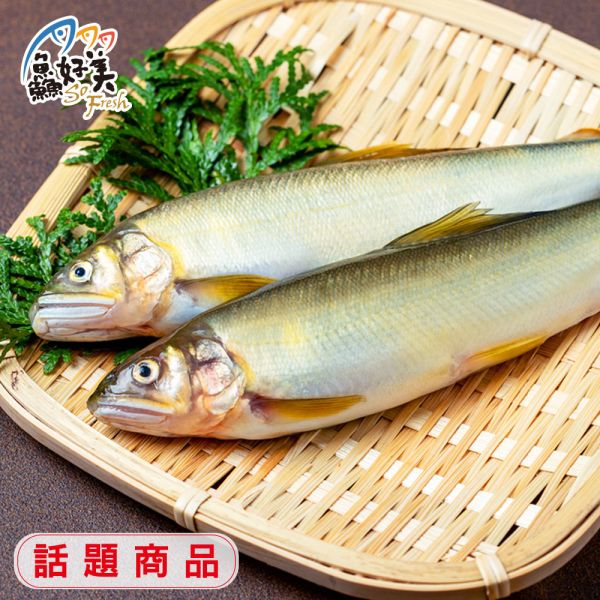 鮮凍公香魚900g±5%/盒(8-10尾) 公香魚,宜蘭,營養,魚油,DHA,蛋白質,簡單料理,全台宅配到府,健康營養美味吃得安心,最優質的生鮮產品,認證安心好食材,料理食譜