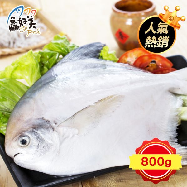 印度野生大白鯧800g/尾 白鯧,鮮魚,營養,魚油,DHA,蛋白質,簡單料理,全台宅配到府,健康營養美味吃得安心,最優質的生鮮產品,認證安心好食材,料理食譜