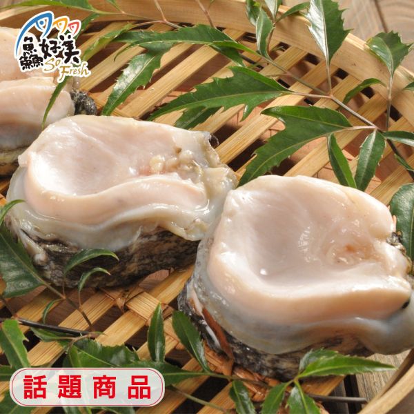 智利鮑貝400g/盒 鮑魚,高級食材,營養,蛋白質,簡單料理,全台宅配到府,健康營養美味吃得安心,最優質的生鮮產品,認證安心好食材,料理食譜