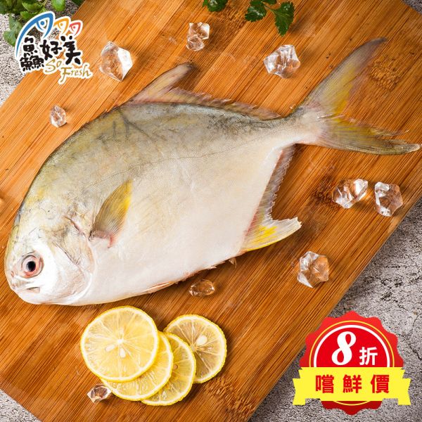 產銷履歷金鯧400g-500g/尾 產銷履歷,金鯧,過年,圍爐,簡單料理,全台宅配到府,健康營養美味吃得安心,最優質的生鮮產品,認證安心好食材,料理食譜